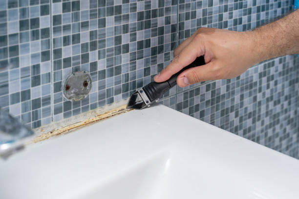 Best Basement Mold Remediation in Cannon Falls, MN
