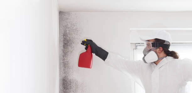 Best Industrial Mold Remediation in Cannon Falls, MN